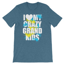 I Love My Crazy Grandkids t-shirt