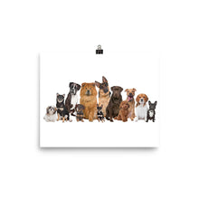 Dog Family Reunion poster