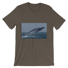 Endangered Species t-shirt