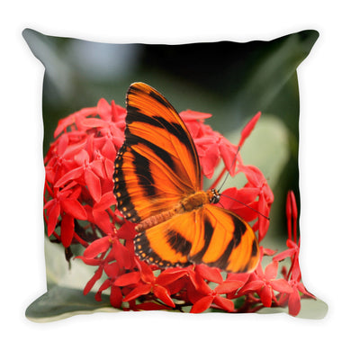 Butterfly Pillow