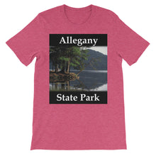 Allegany State Park t-shirt
