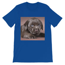 Puppy t-shirt