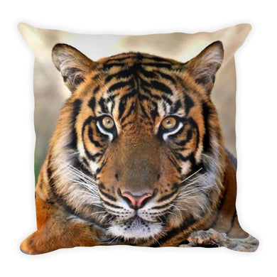 Tiger Pillow