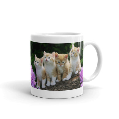 Kitten Mug