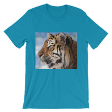 Tiger t-shirt