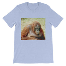 Endangered Species t-shirt