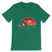 Ladybug t-shirt