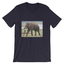 Endangered Species t-shirt