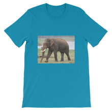 Endangered Species t-shirt