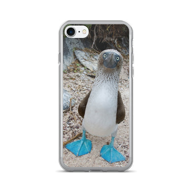 Blue-Footed Booby iPhone 7/7 Plus Case