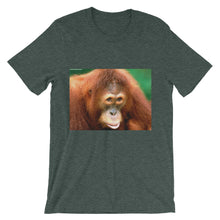 Endangered Species t-shirt