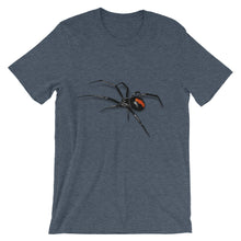 Black Widow Spider t-shirt