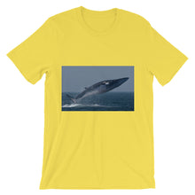 Endangered Species t-shirt