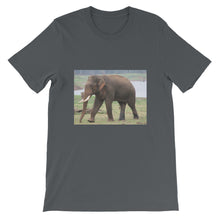 Endangered Species t-shirt