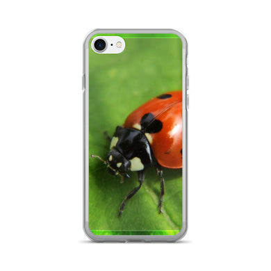 Ladybug iPhone 7/7 Plus Case