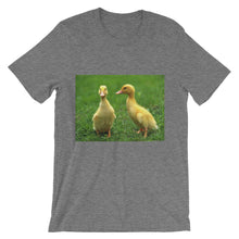 Baby Ducks t-shirt
