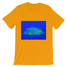 Endangered Species t-shirt