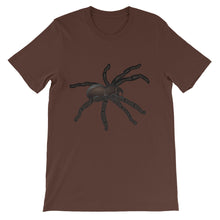 Tarantula t-shirt