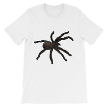 Tarantula t-shirt