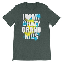 I Love My Crazy Grandkids t-shirt