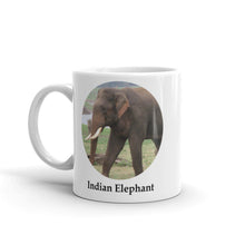 Indian Elephant Mug