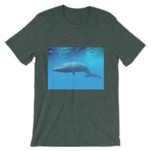 Endangered Species t-shirt