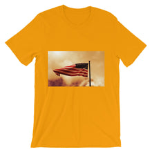 American Flag t-shirt