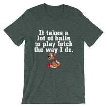 It Takes a Lot of Balls to Play Fetch t-shirt