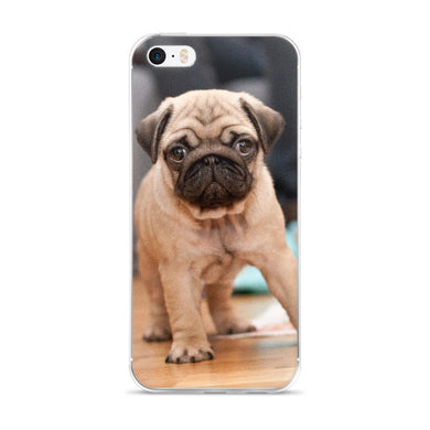 Pug iPhone 5/5s/Se, 6/6s, 6/6s Plus Case
