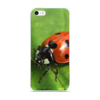 Ladybug iPhone 5/5s/Se, 6/6s, 6/6s Plus Case