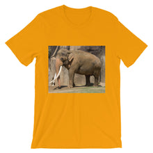 Endangered Species t-shirt