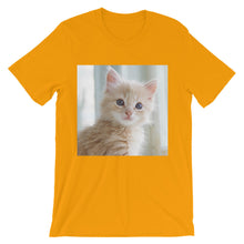 Kitten t-shirt
