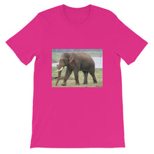 Endangered Species t-shirt