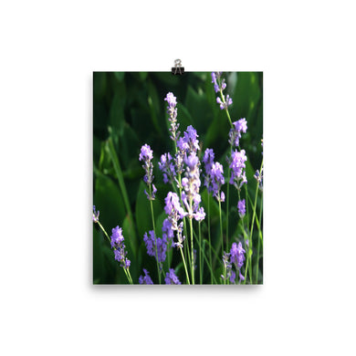 Flower poster