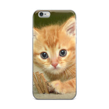 Kitten iPhone 5/5s/Se, 6/6s, 6/6s Plus Case