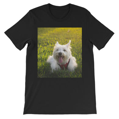 Dog t-shirt
