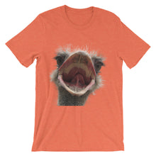 Ostrich t-shirt