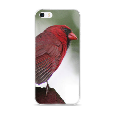 Cardinal iPhone 5/5s/Se, 6/6s, 6/6s Plus Case