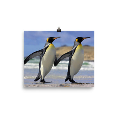 Penguin poster