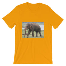 Endangered Species t-shirt