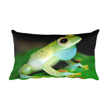 Frog Pillow