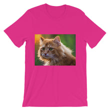 Cat t-shirt