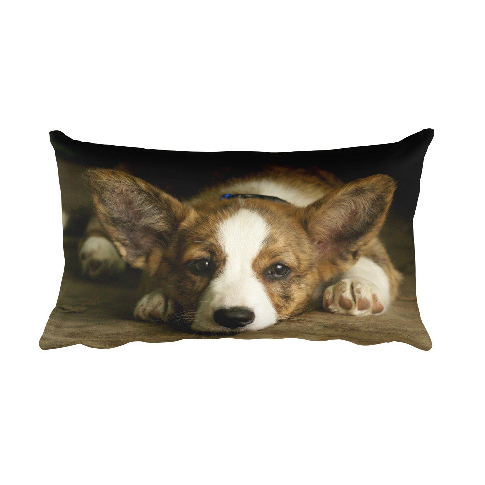 Corgi Pillow