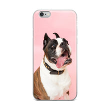 Dog iPhone 5/5s/Se, 6/6s, 6/6s Plus Case