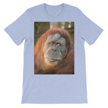 Endangered Species t-shirt