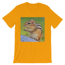 Chipmunk t-shirt