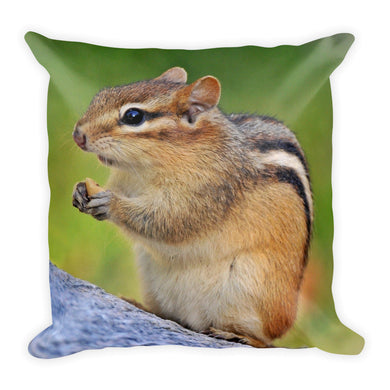 Chipmunk Pillow