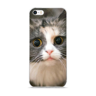 Cat iPhone 5/5s/Se, 6/6s, 6/6s Plus Case