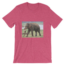 Endangered Species t-shirt