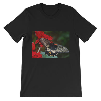 Butterfly t-shirt